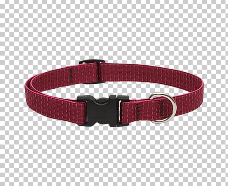 Dog Collar Dog Collar Buckle Belt PNG, Clipart, Belt, Belt Buckle, Belt Buckles, Buckle, Clothing Accessories Free PNG Download