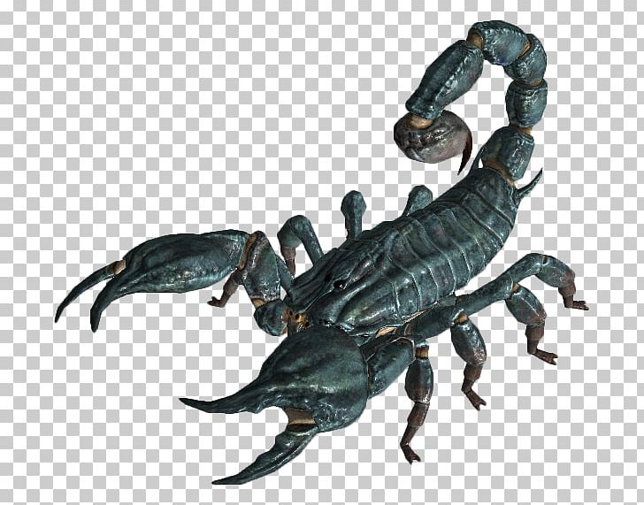 Fallout: New Vegas Fallout: Brotherhood Of Steel Fallout Tactics: Brotherhood Of Steel Fallout 3 PNG, Clipart, Animal Source Foods, Arthropod, Bethesda Softworks, Fallout, Fallout 3 Free PNG Download
