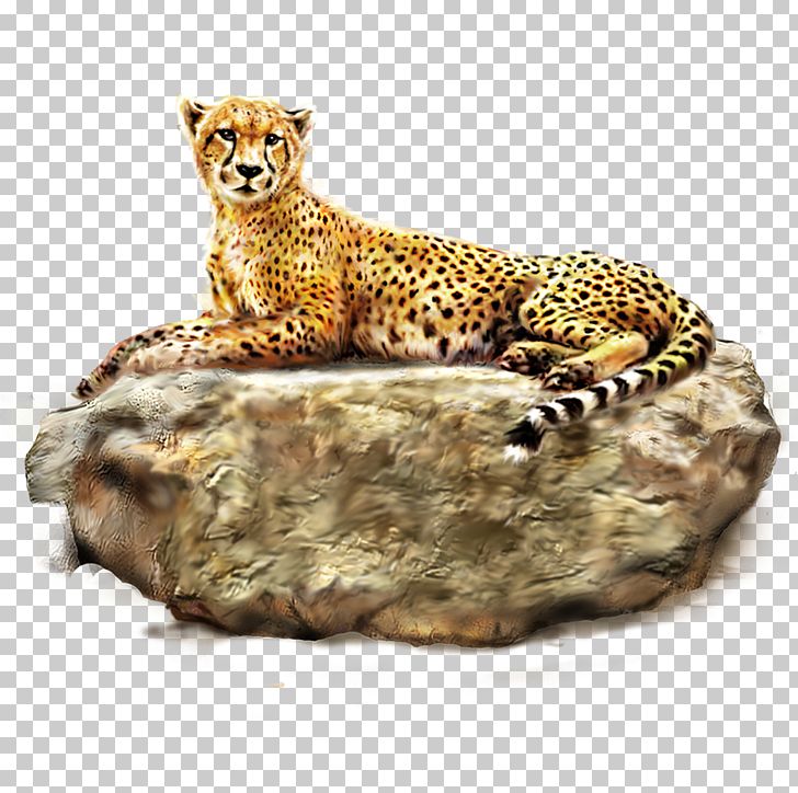 Cheetah Leopard Lion Tiger PNG, Clipart, 3d Computer Graphics, Animal, Animals, Big Cats, Carnivoran Free PNG Download