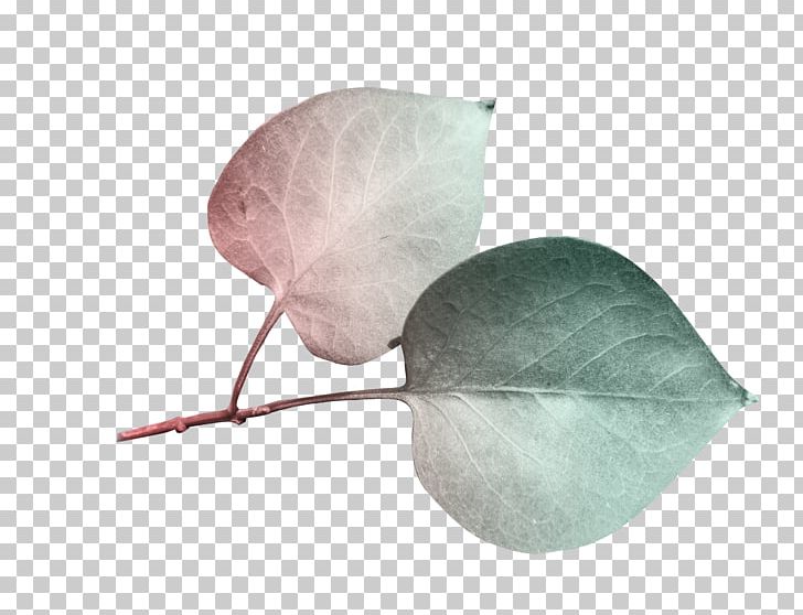 Leaf PNG, Clipart, Banana Leaves, Blade, Cartoon, Computer Software, Creative Work Free PNG Download