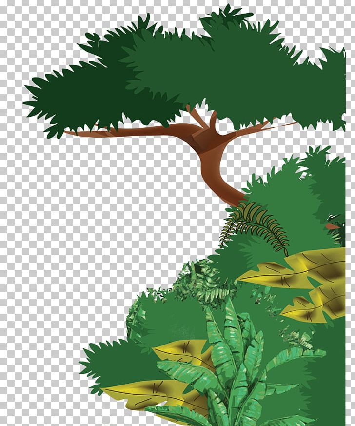 Tropical Rainforest Ecosystem Drawing Evergreen PNG, Clipart, Branch, Climate, Conifer, Drawing, Dry Season Free PNG Download