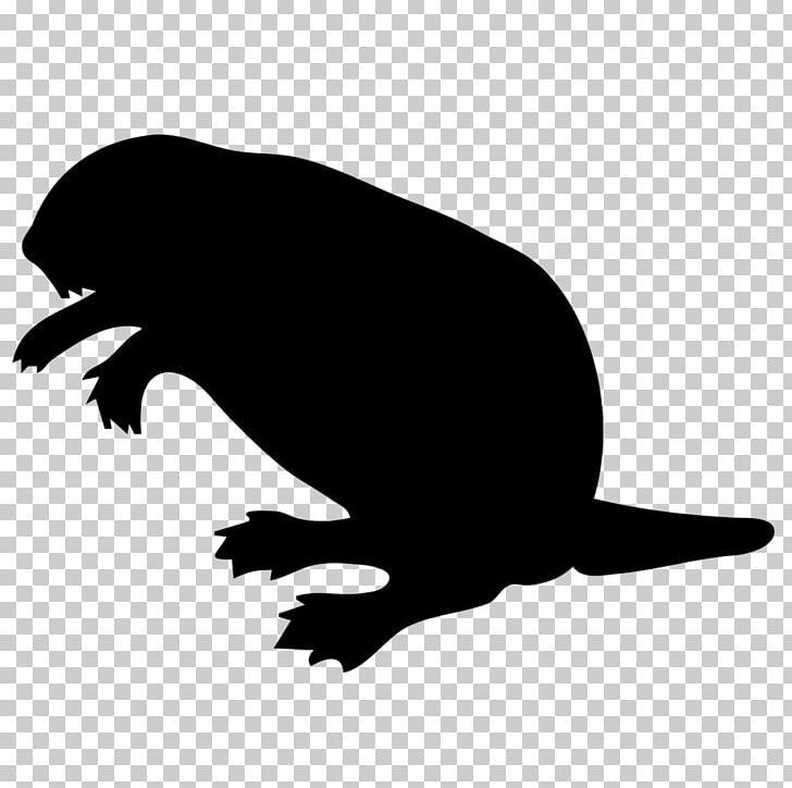 Beaver Computer Icons PNG, Clipart, Animals, Beak, Beaver, Bird, Black And White Free PNG Download
