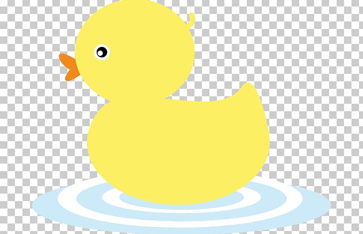 Domestic Duck PNG, Clipart, Anatidae, Anseriformes, Art, Beak, Bird Free PNG Download