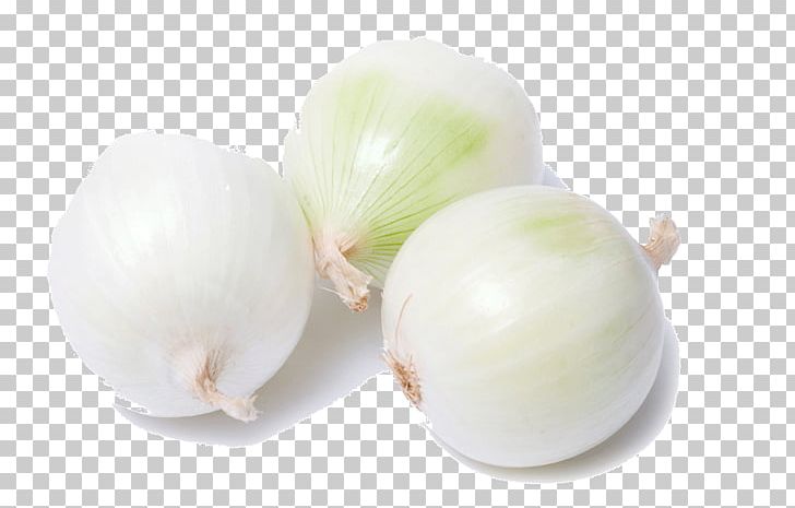 Garlic Yellow Onion Shallot Vegetable White Onion PNG, Clipart, Allium, Allium Fistulosum, Cartoon Garlic, Chili Garlic, Cooking Free PNG Download