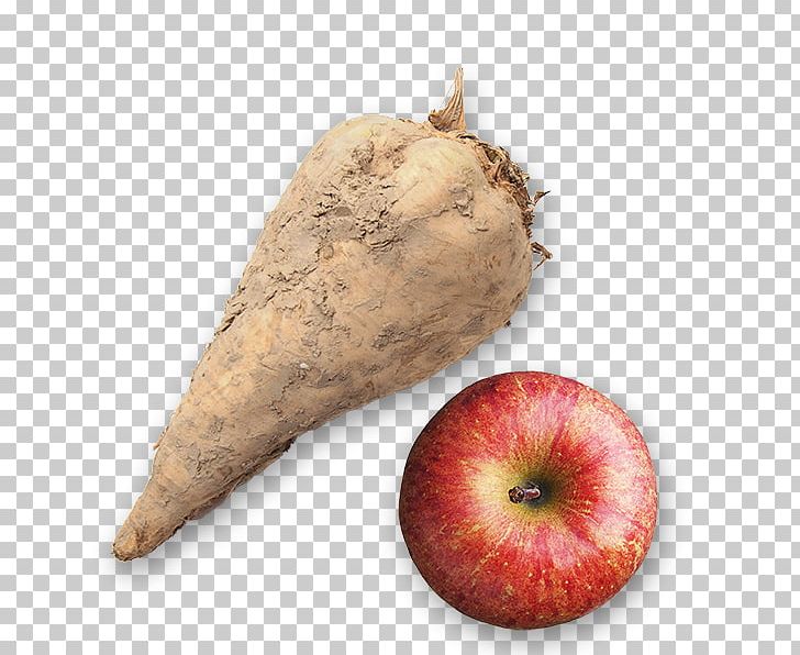 Sugar Beet Canisius Apple Butter Root Vegetables PNG, Clipart, Apple Butter, Balanced, Canisius Golden Griffins, Flavor, Food Free PNG Download
