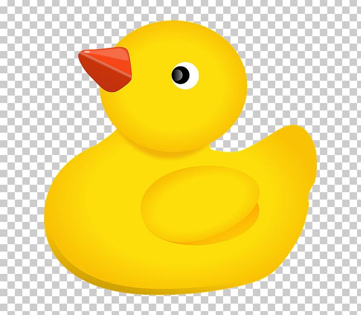 Rubber Duck Bathtub National Toy Hall Of Fame PNG, Clipart, Amazoncom, Animals, Bathing, Bathtub, Beak Free PNG Download