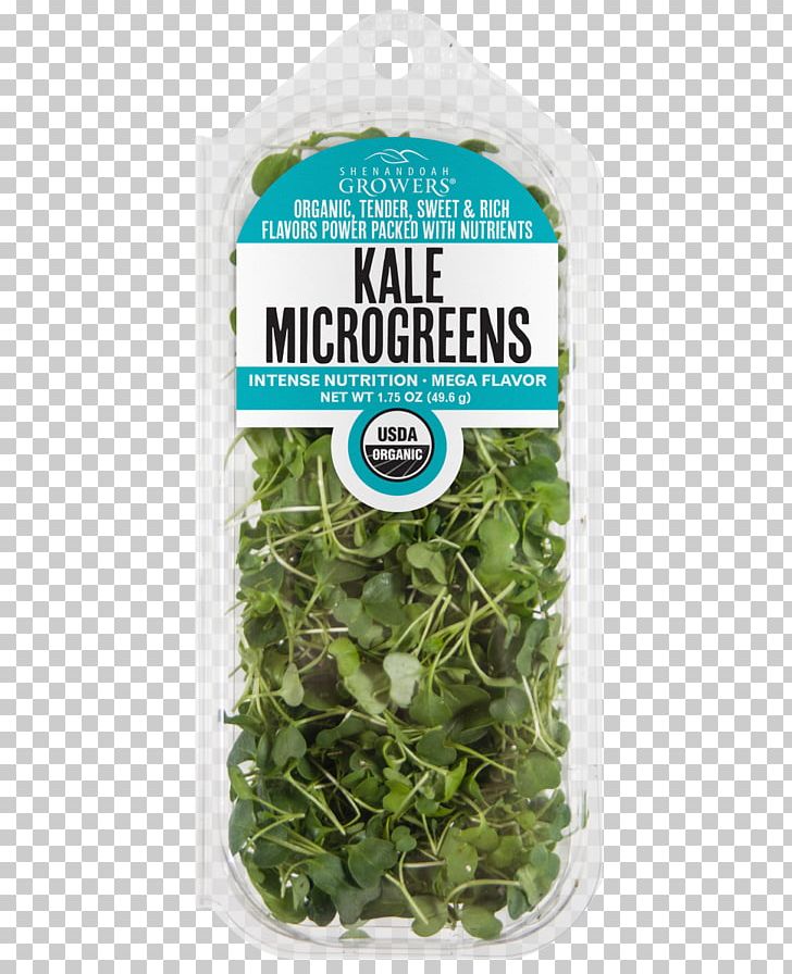 Spring Greens Microgreen Herb Nutrition Leaf Vegetable PNG, Clipart, Food Drinks, Herb, Herbal, Kale, Leaf Free PNG Download