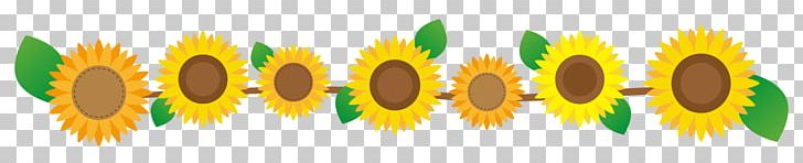 Sunflower Flower Line. PNG, Clipart, Commodity, Common Sunflower, Computer Wallpaper, Evenement, Flower Free PNG Download