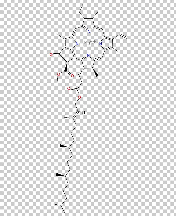 Light Chlorophyll A Chlorophyll B Photosynthesis PNG, Clipart, Angle, Area, Carotenoid, Chemical Structure, Chemistry Free PNG Download