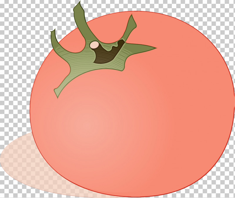 Tomato PNG, Clipart, Apple, Biology, Cartoon, Paint, Plant Free PNG Download