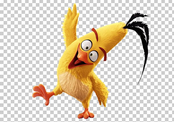 Chicken Video Games Angry Birds Film PNG, Clipart, Angry Bird, Angry Birds, Animation, Beak, Bird Free PNG Download
