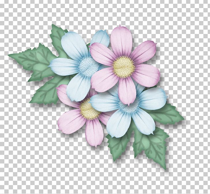 Petal Cut Flowers Flowering Plant PNG, Clipart, Cut Flowers, Flower, Flowering Plant, Petal, Plant Free PNG Download