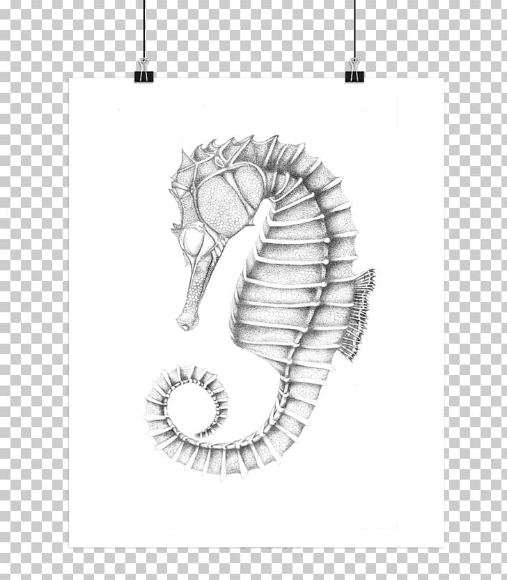 Seahorse Poster Text PNG, Clipart, Animals, Black And White, Drawer, Drawing, Fish Free PNG Download