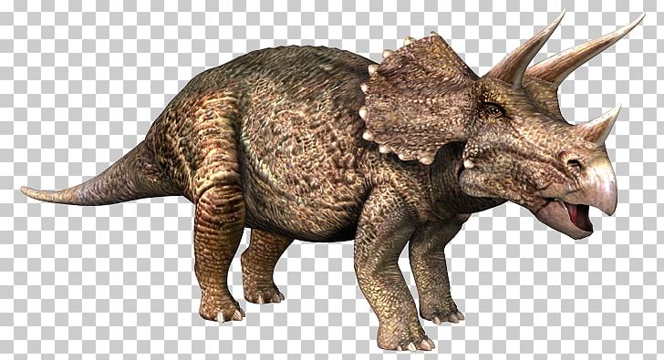 Triceratops Pachyrhinosaurus Einiosaurus Late Cretaceous PNG, Clipart, Animal, Animal Figure, Ceratopsia, Cretaceous, Dinosaur Free PNG Download