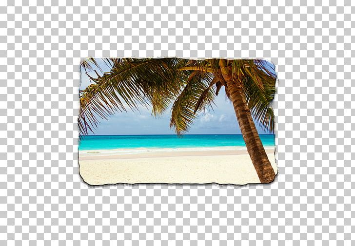 Varadero Havana Cancxfan Riviera Maya Beach PNG, Clipart, Allinclusive Resort, Beach, Beach Ball, Beaches, Beach Party Free PNG Download