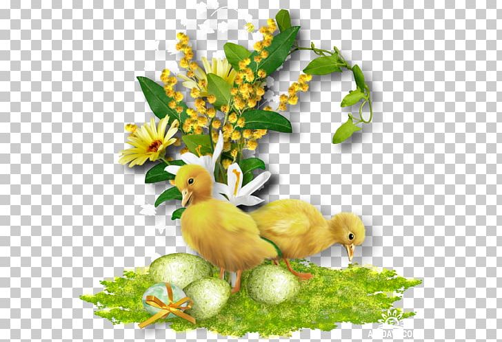 Paper Easter Page Letter Perion Network PNG, Clipart, Beak, Bird, Birthday, Branch, Chicken Free PNG Download