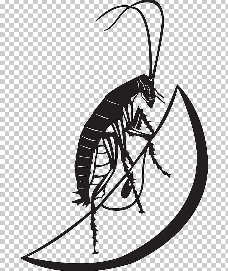 Cockroach Insect Illustration Photography PNG, Clipart, Animals, Artwork, Black And White, Blattodea, Branch Free PNG Download
