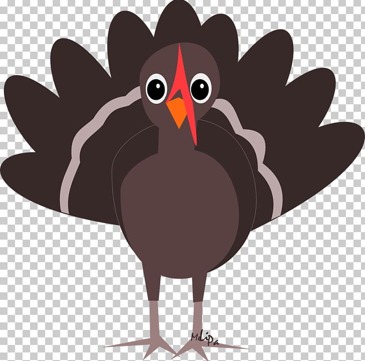 Turkey Meat Thanksgiving PNG, Clipart, Beak, Bird, Blog, Chicken, Copyright Free PNG Download