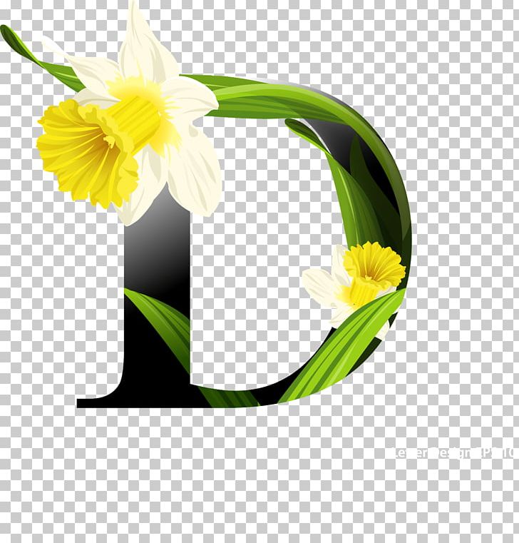 Flower Stock Photography PNG, Clipart, Alphabet, Amaryllis Family, Cut ...