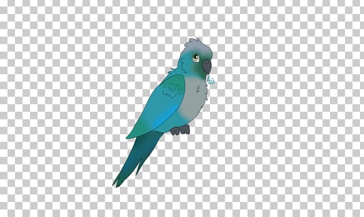 Lovebird Macaw Parakeet Cobalt Blue Feather PNG, Clipart, Animals, Beak, Bird, Blue, Cobalt Free PNG Download