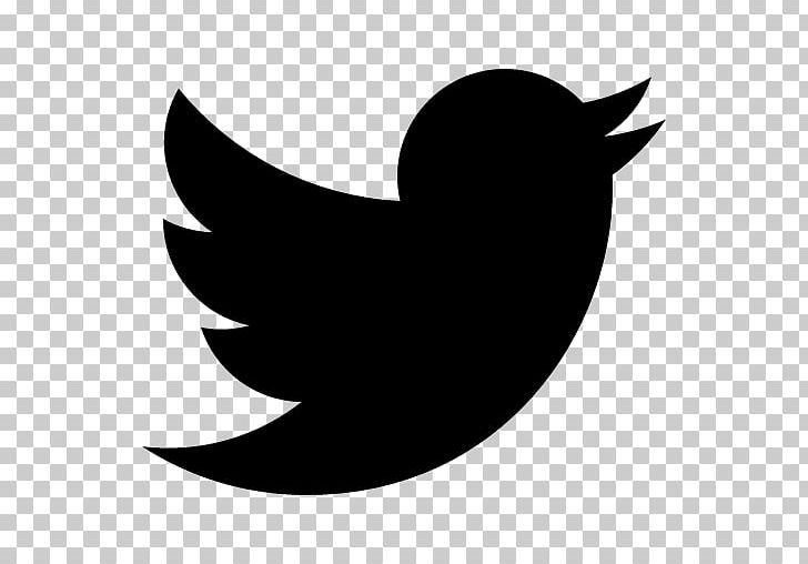 Social Media Computer Icons USPAACC Southwest Logo PNG, Clipart, Beak, Bird, Black, Black And White, Blog Free PNG Download