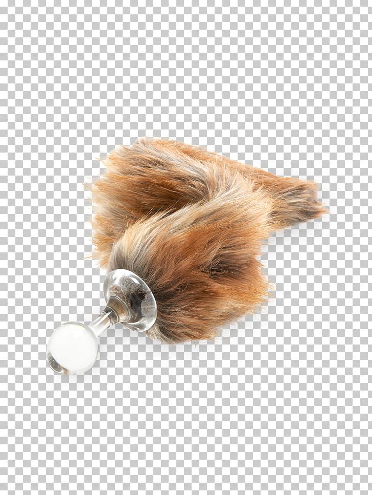 Dog Tail Fur Snout Canidae PNG, Clipart, Animals, Canidae, Coco, Coco De Mer, Delight Free PNG Download