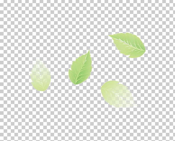 Euclidean Leaf PNG, Clipart, Background Green, Chemical Element, Designer, Download, Euclidean Vector Free PNG Download