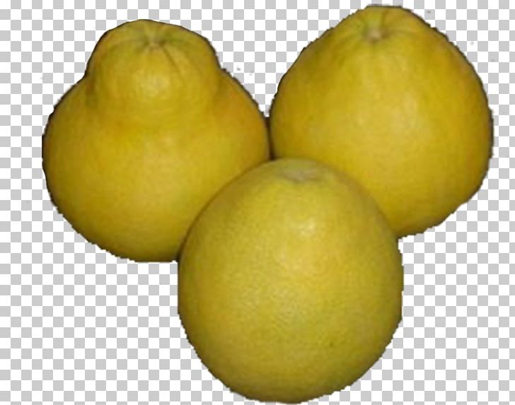 Sweet Lemon Grapefruit Pomelo Citrus Junos PNG, Clipart, Auglis, Background Green, Citric Acid, Citron, Citrus Free PNG Download