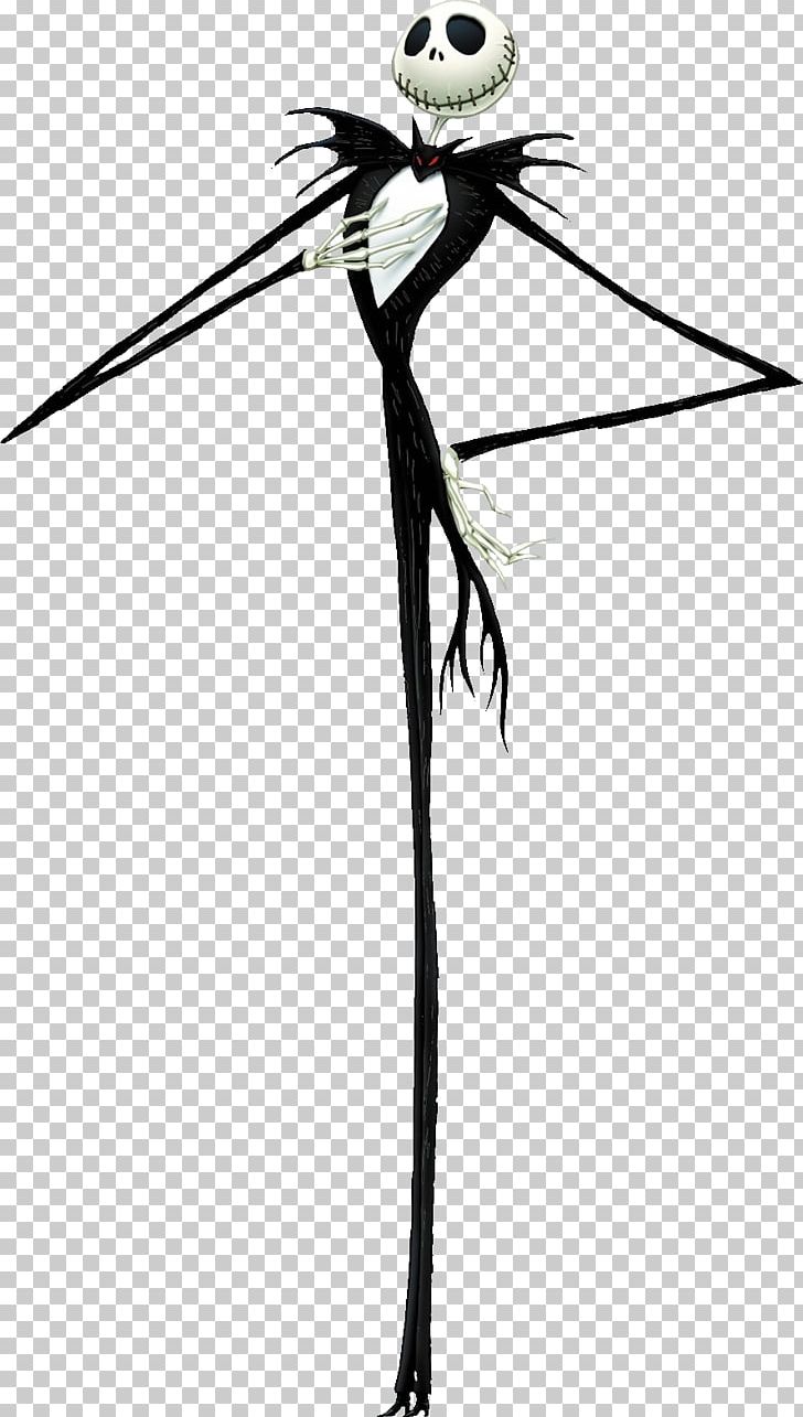 The Nightmare Before Christmas: The Pumpkin King Jack Skellington Halloween PNG, Clipart, Art, Bird, Black, Branch, Fictional Character Free PNG Download