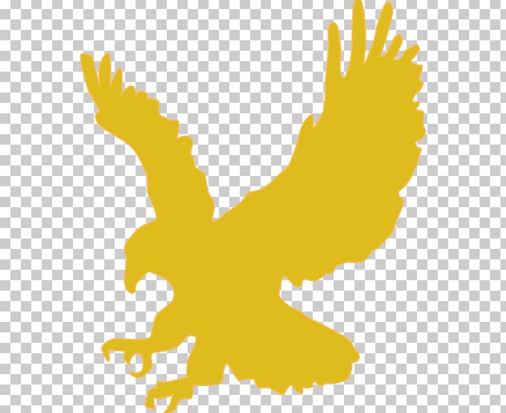 Bald Eagle Silhouette PNG, Clipart, Art, Bald Eagle, Beak, Bird, Bird Of Prey Free PNG Download
