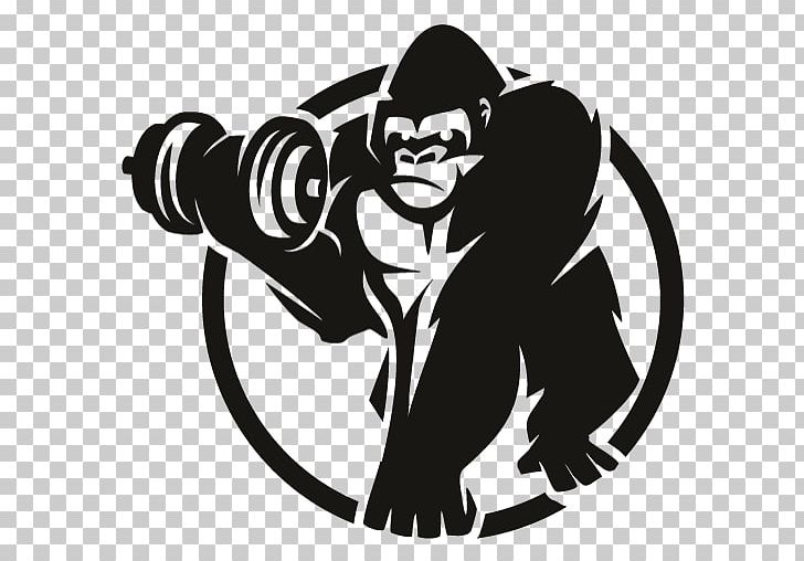 Gorilla Sports UK Dumbbell Fitness Centre PNG, Clipart, Art, Barbell,  Bench, Black, Black And White Free