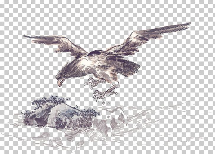 Ink Wash Painting Gongbi Chinese Painting Hawk PNG, Clipart, Bird, Carving, Chinese Style, Fauna, Feather Free PNG Download