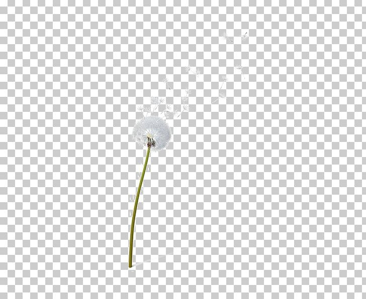 Lighting Product Design Flower PNG, Clipart, Background, Blow, Dandelion, Flower, Lighting Free PNG Download