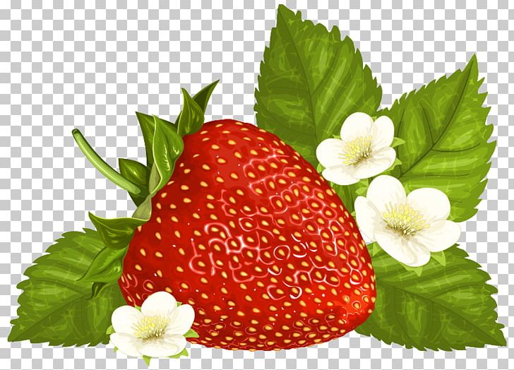 Strawberry Pie PNG, Clipart, Accessory Fruit, Berry, Blog, Diet Food, Drawing Free PNG Download