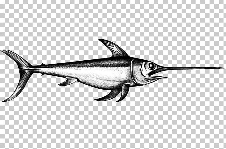 Swordfish Sesimbra World Wide Web Sardine PNG, Clipart, Billfish, Black, Black And White, Bony Fish, Fauna Free PNG Download