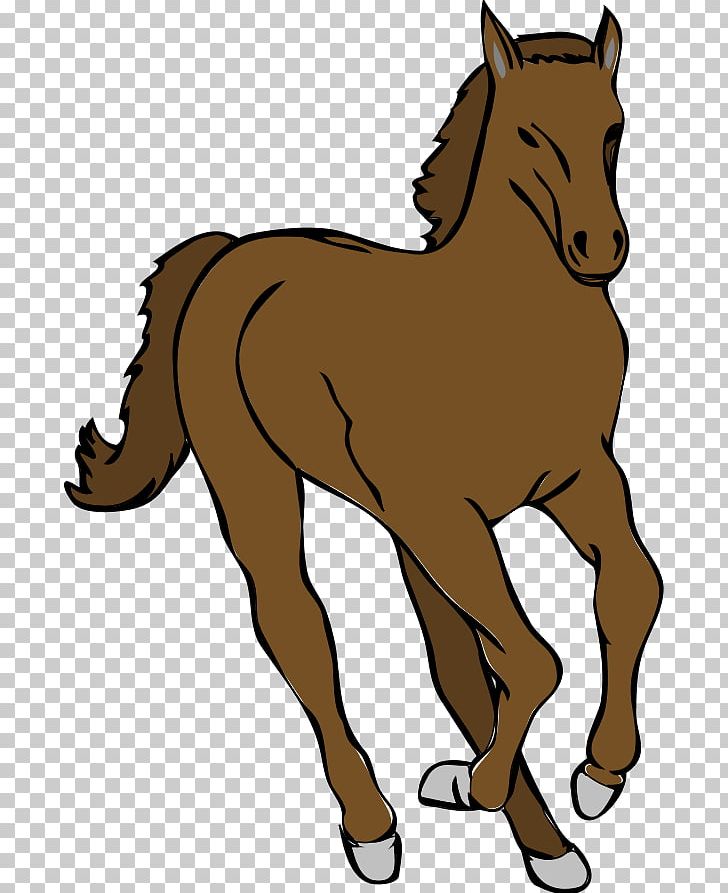 Tennessee Walking Horse Foal Colt Canter And Gallop PNG, Clipart, Bridle, Canter And Gallop, Collection, Colt, Computer Icons Free PNG Download