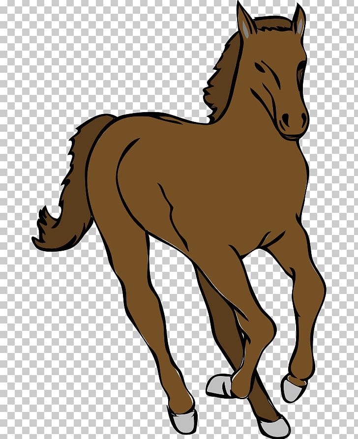 horse colt clip art