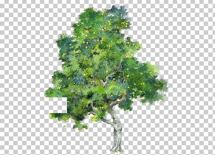 Tree Watercolor Painting PNG, Clipart, Branch, Cartoon, Cartoon Trees, Encapsulated Postscript, Family Tree Free PNG Download