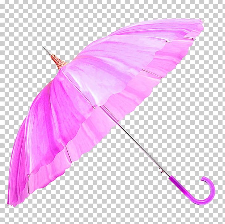 Umbrella Purple U66f2u7b71u7d83 PNG, Clipart, Art, Blue, Culture, Culture And Art, Designer Free PNG Download