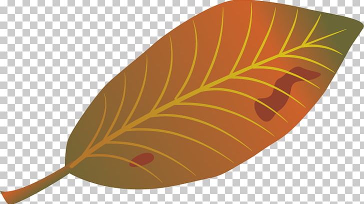 Leaf Autumn PNG, Clipart, Cloud, Effect, Effect Vector, Fall Leaves, Free Vector Free PNG Download