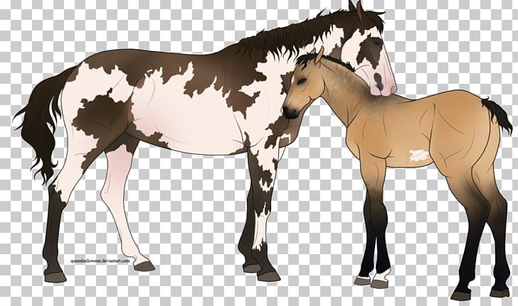 Mustang Foal Stallion Colt Mare PNG, Clipart,  Free PNG Download