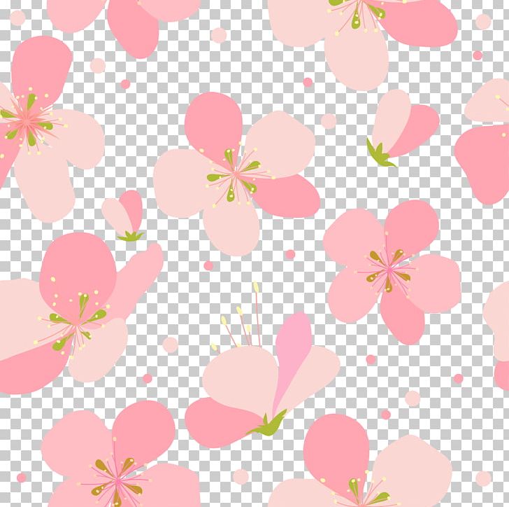 Cherry Blossom PNG, Clipart, Blossom, Branch, Cherry, Cherry Blossoms, Cherry Vector Free PNG Download