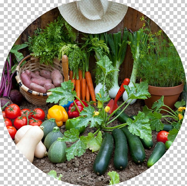 Gardening Harvest Container Garden Kitchen Garden PNG, Clipart, Able, Back Garden, Basket, Container Garden, Farm Free PNG Download
