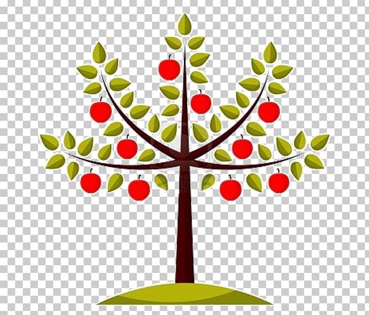 Apple Open Fruit Tree PNG, Clipart, Apple, Apple Tree, Branch, Cherry, Christmas Decoration Free PNG Download