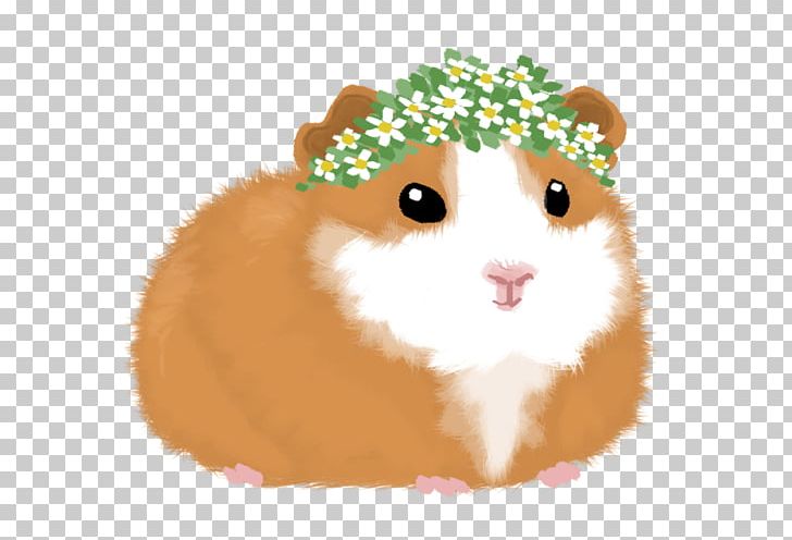 Hamster Guinea Pig Drawing Pencil PNG, Clipart, Animal, Animals, Artist, Cartoon, Cuteness Free PNG Download
