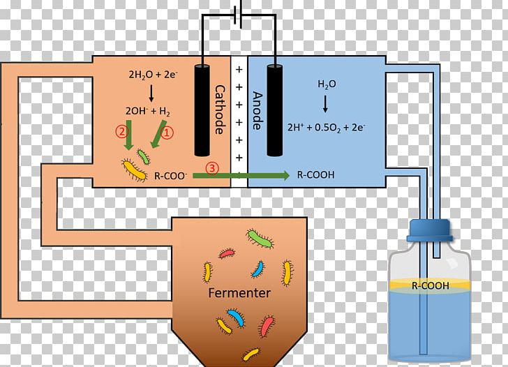Microbial Fuel Cell Master's Degree Bioreactor University Pressure PNG, Clipart,  Free PNG Download