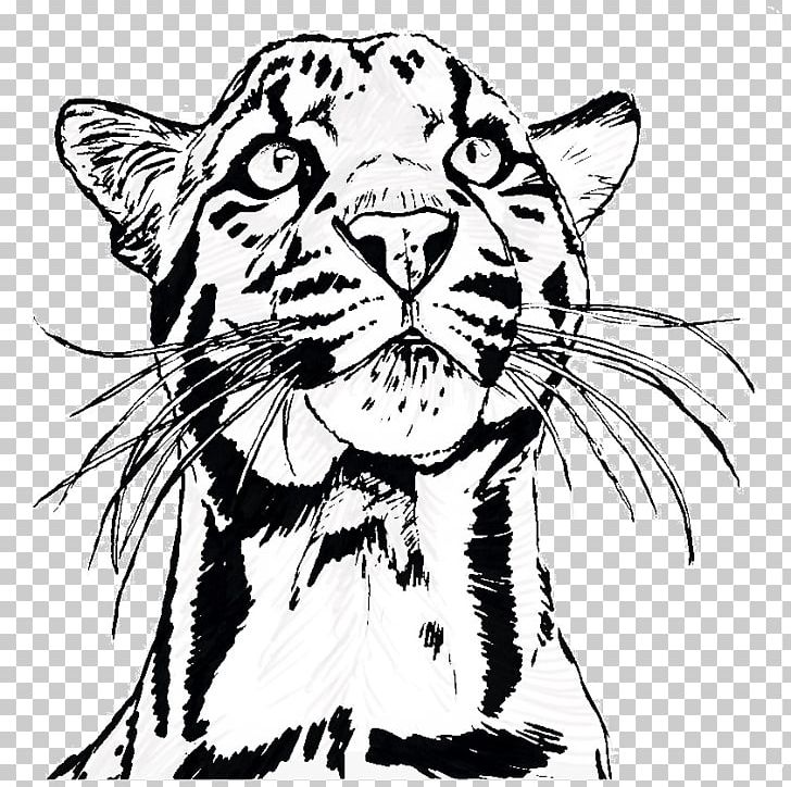 Whiskers Tiger Lion Zoo Tycoon 2: Marine Mania Norway PNG, Clipart, Animals, Art, Big Cats, Black, Carnivoran Free PNG Download
