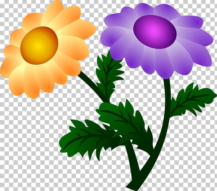Chrysanthemum Flower PNG, Clipart, Artwork, Chrysanthemum, Chrysanths, Daisy Family, Desktop Wallpaper Free PNG Download