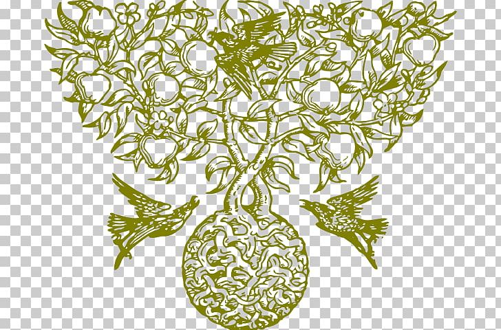 Fruit Tree Drawing Apple PNG, Clipart, Apple, Art, Branch, Drawing, Flora Free PNG Download