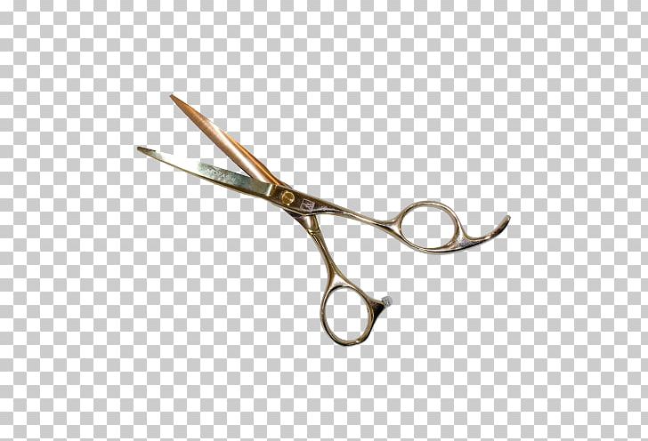 Scissors Hair Straight Razor Cosmetologist Model PNG, Clipart, Beauty, Beauty Parlour, Cosmetologist, Eyebrow, Hair Free PNG Download